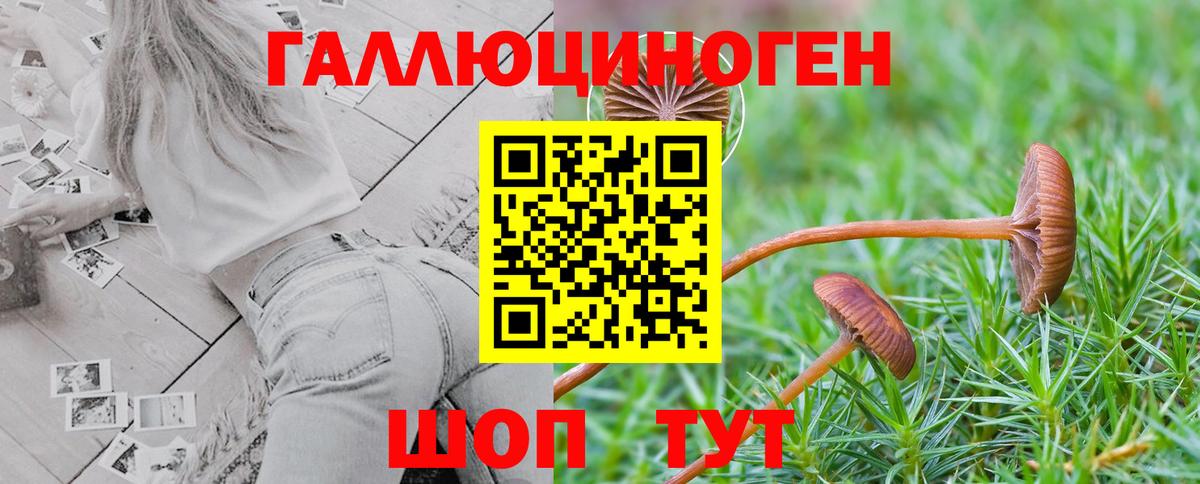 цена наркотик  Псилоцибиновые грибы Psilocybine cubensis  Псилоцибиновые грибы MAGIC MUSHROOMS  Вход с VPN  Стерлитамак 
